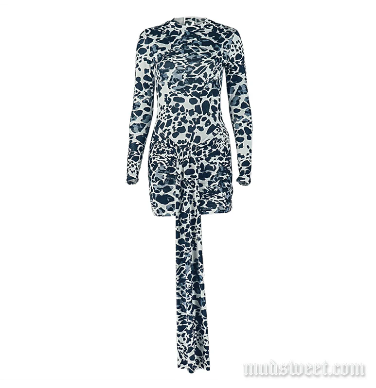 Leopard print long sleeve crewneck mini dress