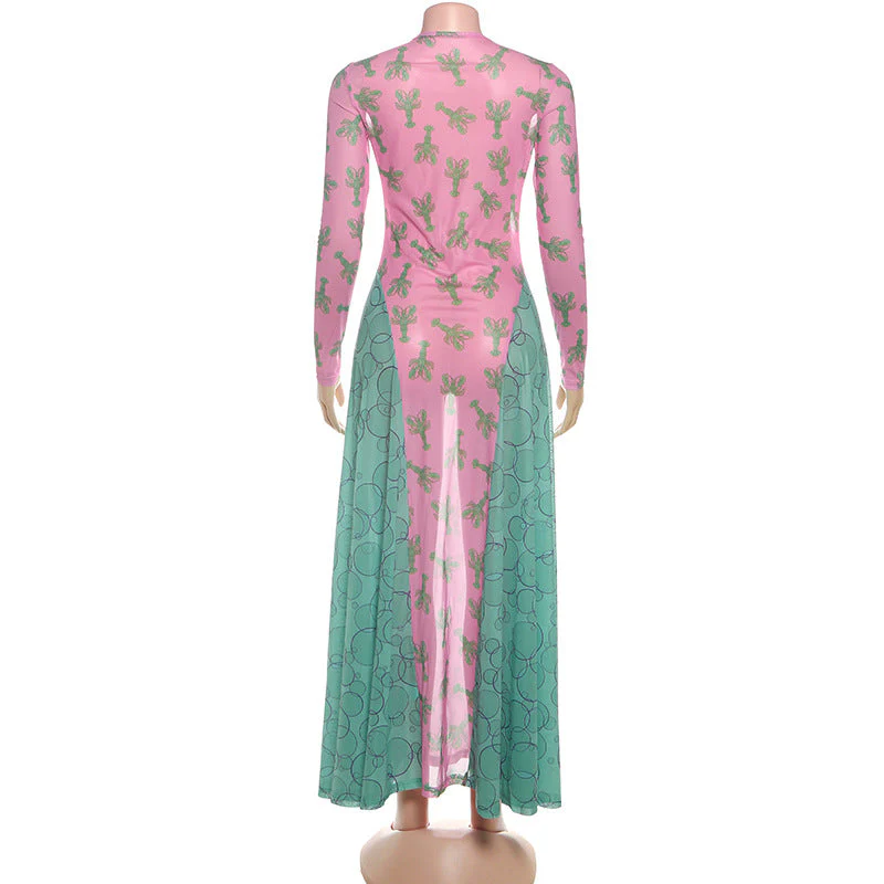 Long sleeve mesh crewneck print maxi dress - Image 4
